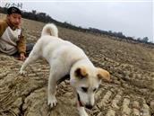 广东省,阳江市,江城区,埠场镇,那蓬村