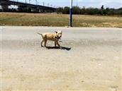 广东省,阳江市,江城区,埠场镇,那蓬村