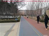 辽宁省,朝阳市,龙城区,半拉山街道,半拉山村