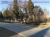 辽宁省,朝阳市,龙城区,半拉山街道,半拉山村
