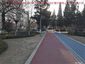 辽宁省,朝阳市,龙城区,半拉山街道,半拉山村