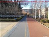 辽宁省,朝阳市,龙城区,半拉山街道,半拉山村