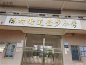 广东省,茂名市,电白区,陈村镇,登步村