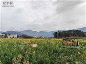 浙江省,台州市,天台县,赤城街道,三新村