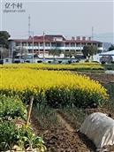 湖北省,黄冈市,蕲春县,张榜镇,大同司村
