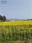 湖北省,黄冈市,蕲春县,张榜镇,大同司村