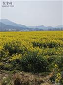 湖北省,黄冈市,蕲春县,张榜镇,大同司村