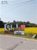浙江省,衢州市,柯城区,石梁镇,里前坞村