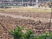 广东省,梅州市,兴宁市,径南镇,宝兴村