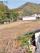 广东省,梅州市,兴宁市,径南镇,宝兴村