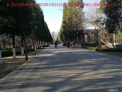 辽宁省,朝阳市,龙城区,半拉山街道,半拉山村