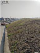 湖北省,仙桃市,沙湖原种场,东荆分场社区