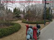 辽宁省,朝阳市,龙城区,半拉山街道,半拉山村