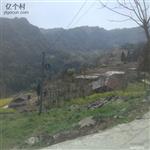 贵州省,遵义市,桐梓县,楚米镇,高山村