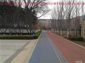 辽宁省,朝阳市,龙城区,半拉山街道,半拉山村