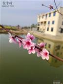 湖北省,孝感市,孝昌县,小河镇,堰口村