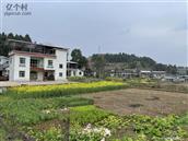 四川省,遂宁市,大英县,蓬莱镇,寸塘口村