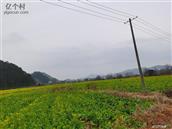 江西省,新余市,渝水区,欧里镇,洲上村