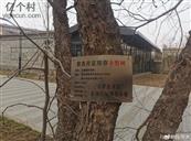 河北省,保定市,容城县,大河镇,南文营村