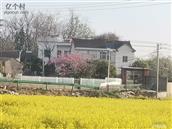 安徽省,芜湖市,繁昌县,孙村镇,大冲村