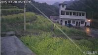 界村 