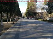 辽宁省,朝阳市,龙城区,半拉山街道,半拉山村