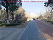 辽宁省,朝阳市,龙城区,半拉山街道,半拉山村