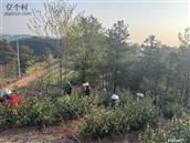 湖南省,湘西州,吉首市,丹青镇,樟武村