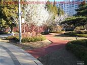 辽宁省,朝阳市,龙城区,半拉山街道,半拉山村