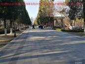 辽宁省,朝阳市,龙城区,半拉山街道,半拉山村