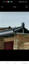 山西省,吕梁市,临县,曲峪镇,小甲头村