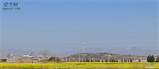 河北省,邯郸市,永年区,永合会镇,大油村
