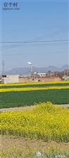 河北省,邯郸市,永年区,永合会镇,大油村