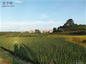 湖南省,永州市,新田县,高山乡,洪仁村