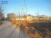 高海村 牛店西外环，高海村路段，西侧片影