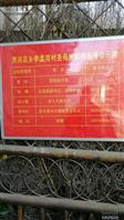河北省,邯郸市,永年区,界河店乡,李孟湾村