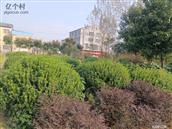 湖北省,襄阳市,樊城区,牛首镇,刘古岗村