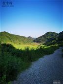 云南省,文山州,广南县,旧莫乡,板榔村
