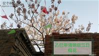河北省,邯郸市,永年区,讲武乡,石北汪村
