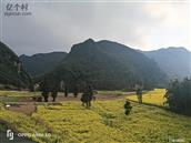 云南省,文山州,文山市,平坝镇,平地村