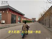 河北省,邯郸市,大名县,旧治乡,旧治西村