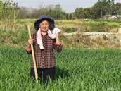 安徽省,芜湖市,繁昌县,孙村镇,大冲村
