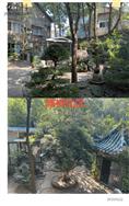 湖北省,荆州市,江陵县,滩桥镇,曹市村