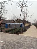 黄家庄村 黄家庄北街景色