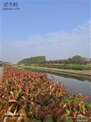 浙江省,湖州市,南浔区,南浔镇,李家河村