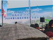 山东省,菏泽市,牡丹区,高庄镇,大石庄村