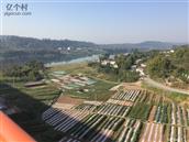 四川省,广安市,广安区,大龙乡,光明村