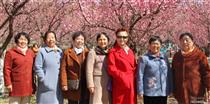 陕西省,咸阳市,兴平市,西城街道,药市村