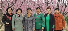 陕西省,咸阳市,兴平市,西城街道,药市村