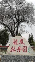 河北省,邯郸市,永年区,大北汪镇,西赵目连村